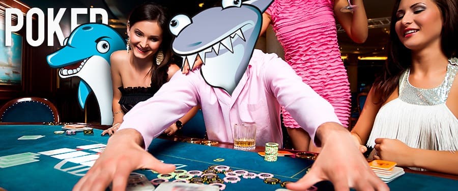 Pokerihuoneet